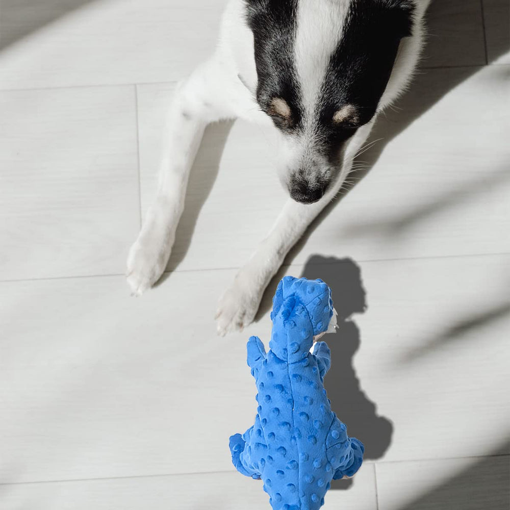 Jouet DODODOLA dinosaure bleu, expérience sensorielle variée et divertissante.