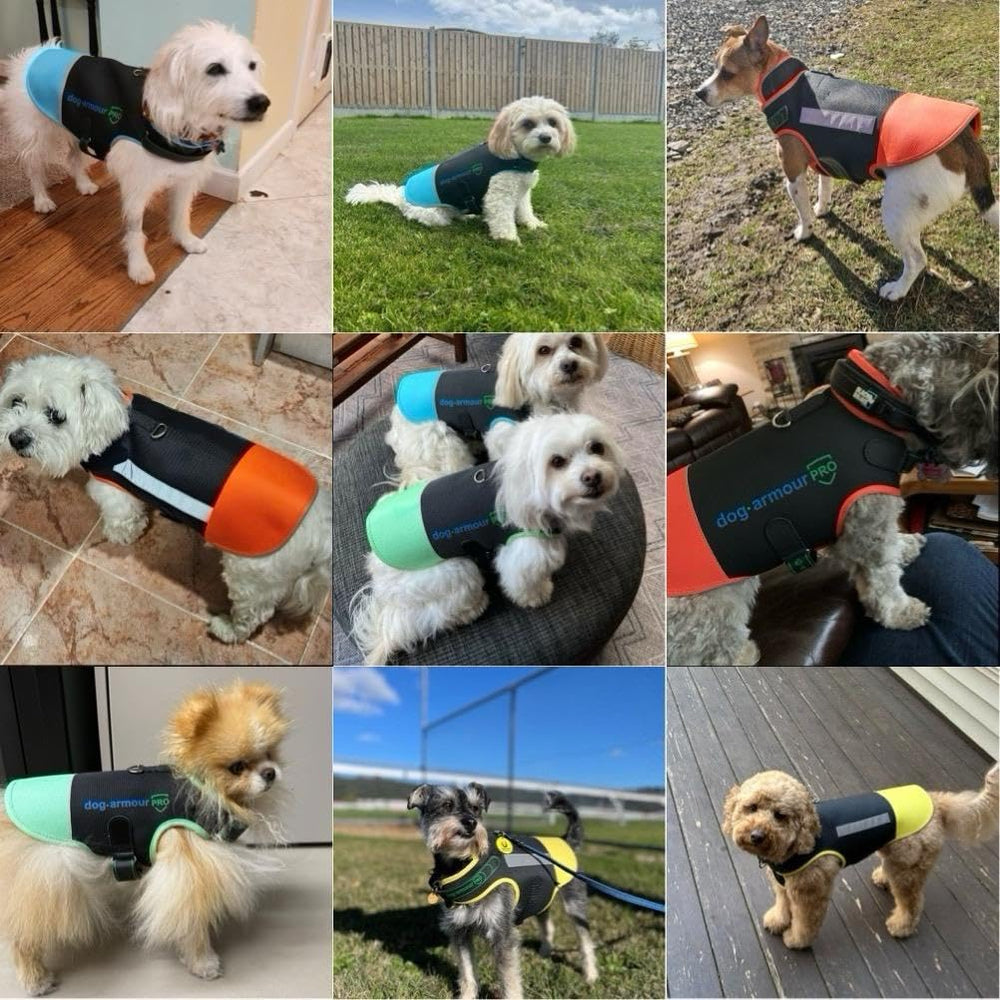 Dog Armour PRO lavage facile, prêt à l’emploi après lavage.