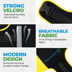 Dog Armour PRO bande réfléchissante pour une meilleure visibilité nocturne.