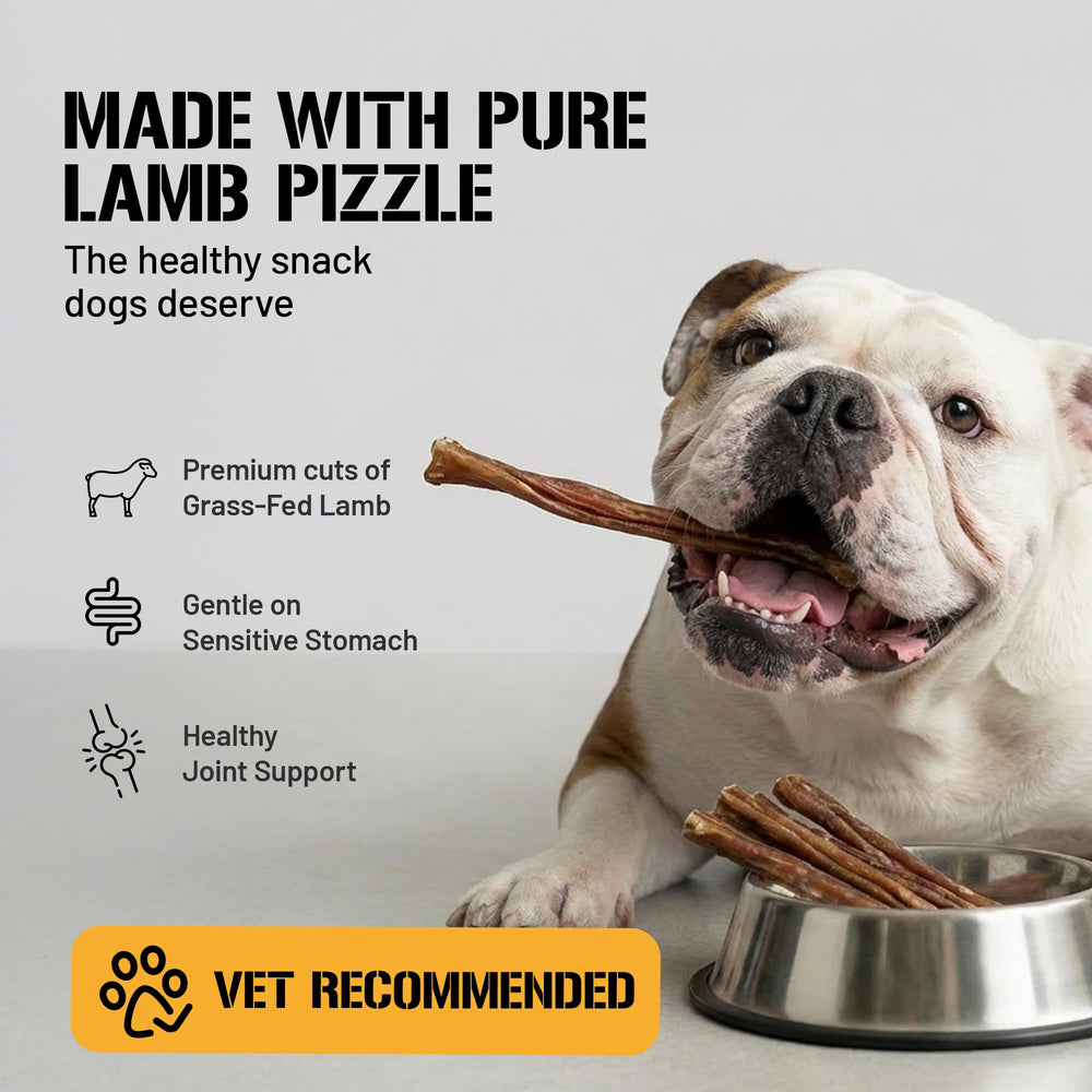 Dog Chits Bully Sticks – faible taux graisse, option légère pour chiens attentifs.