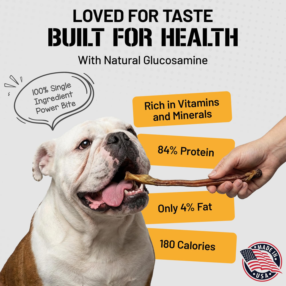 Dog Chits Bully Sticks – ingrédient-agneau-pizzle, option simple pour chiens sensibles.