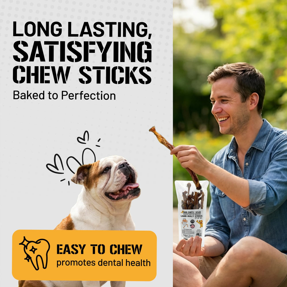 Dog Chits Bully Sticks – protéines elevage-musculaire, soutien pour chiens actifs.