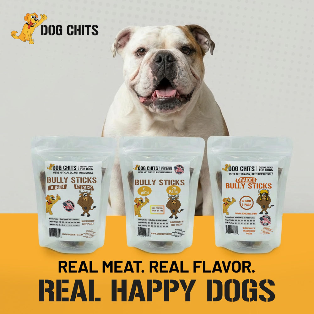 Dog Chits Bully Sticks – convient a tous les chiens et chiots lors des sessions de jeu.