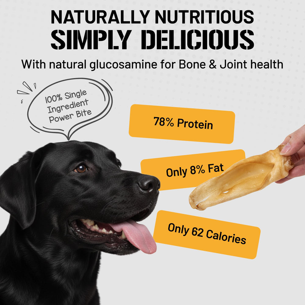 Dog Chits Oreilles d'agneau: gros plan sur la texture riche en protéines.