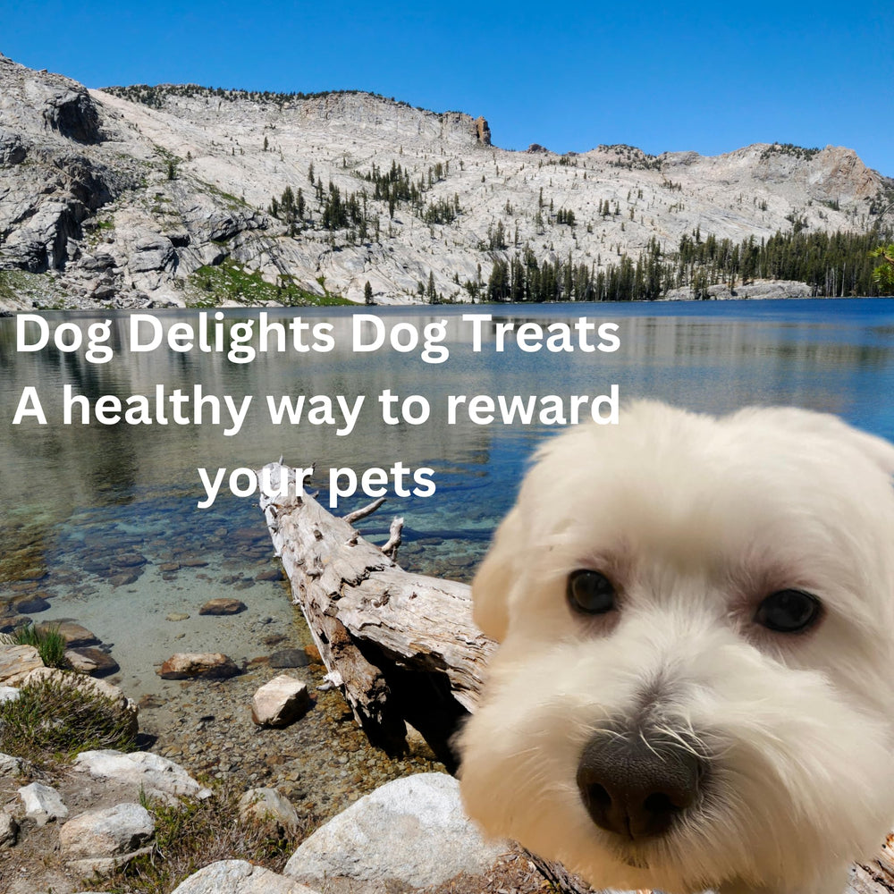 Dog Delights batonnet canard sans conservateur, option naturelle pour récompenser