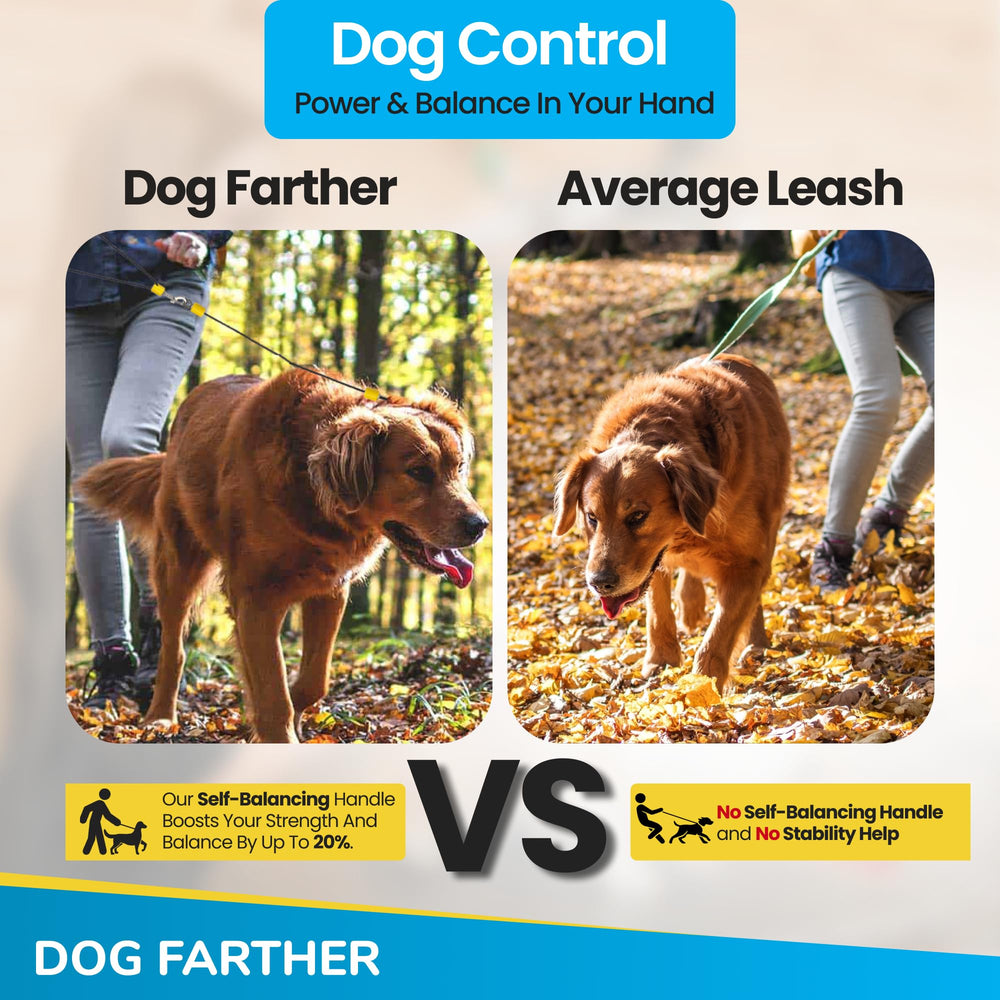 Dog Farther: ceinture-auto pour chien lors des trajets en voiture