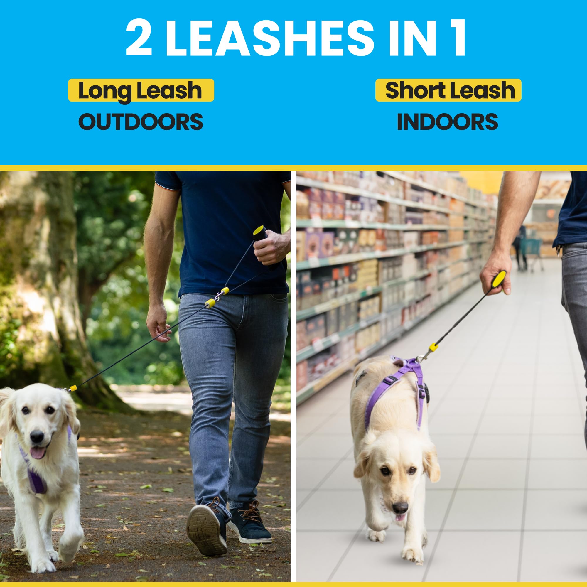 Dog Farther: dispositif auto-detuellage intégré pour eviter les enchevêtrements