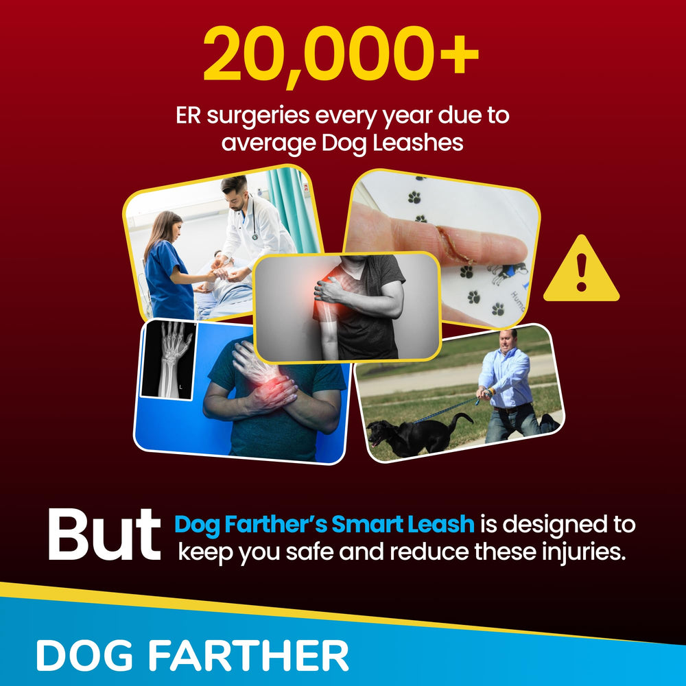 Dog Farther: kevlar triple-core et renforcement carbone
