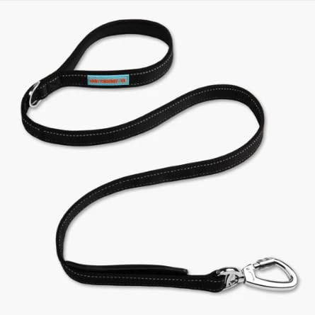 Dog Friendly Co – Longe avec poignee neoprene offrant un confort lors des promenades.