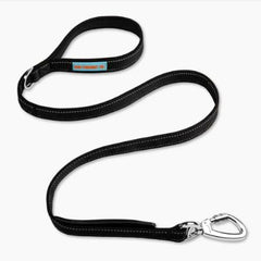 Dog Friendly Co – Longe avec poignee neoprene offrant un confort lors des promenades.