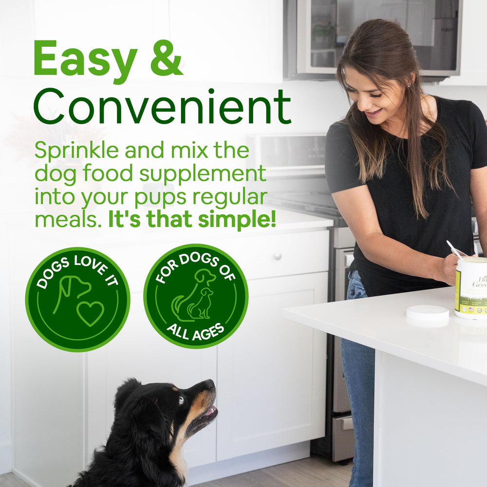 Dog Greens chien energie jouant, energie et jeu retrouve
