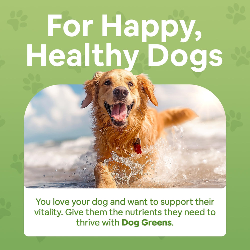 Dog Greens dose-poudre chien, mesure précise pour nourrir chaque repas