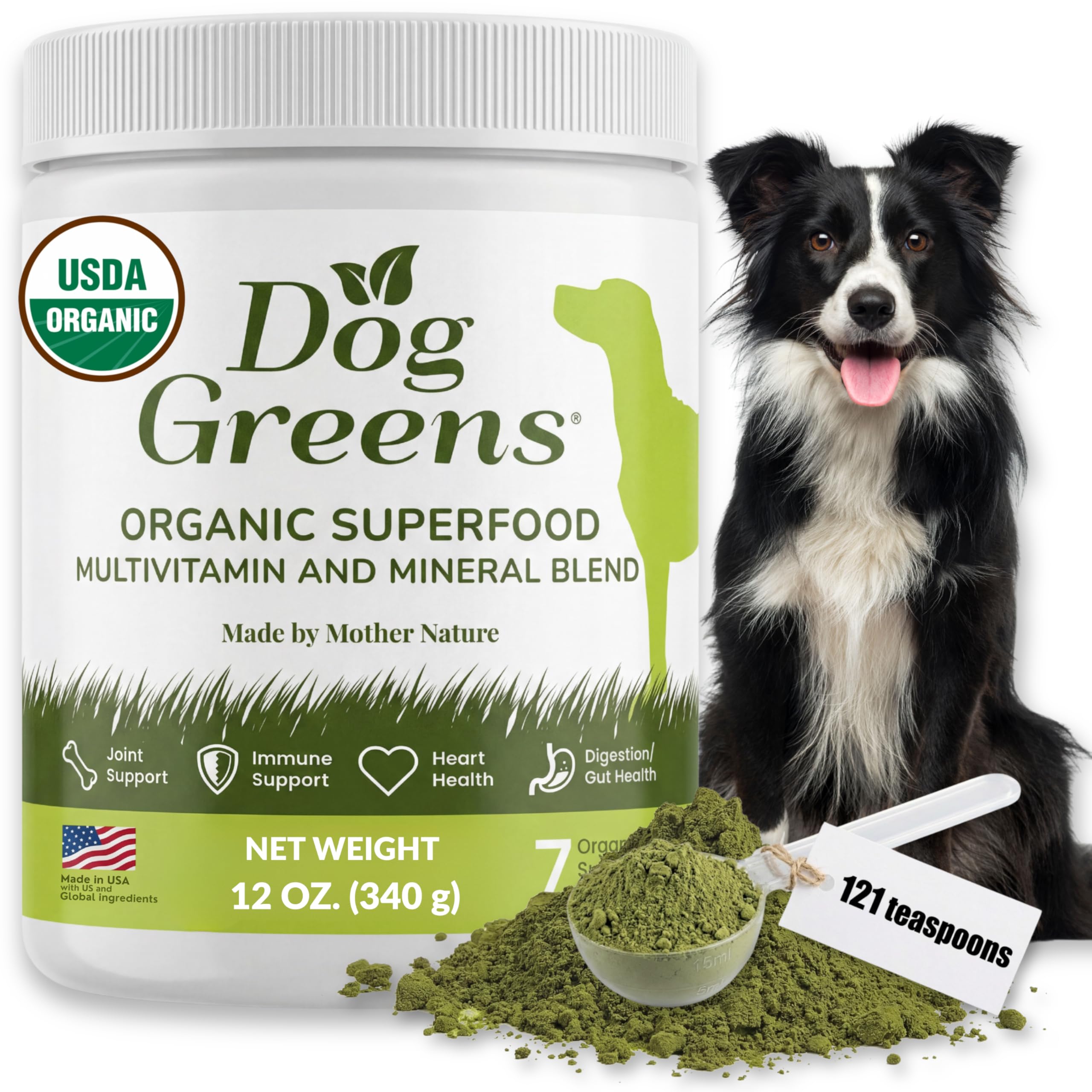 Dog Greens poudre-sante-chien dans le bol, énergie et vitalité potentielles