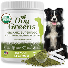 Dog Greens poudre-sante-chien dans le bol, énergie et vitalité potentielles