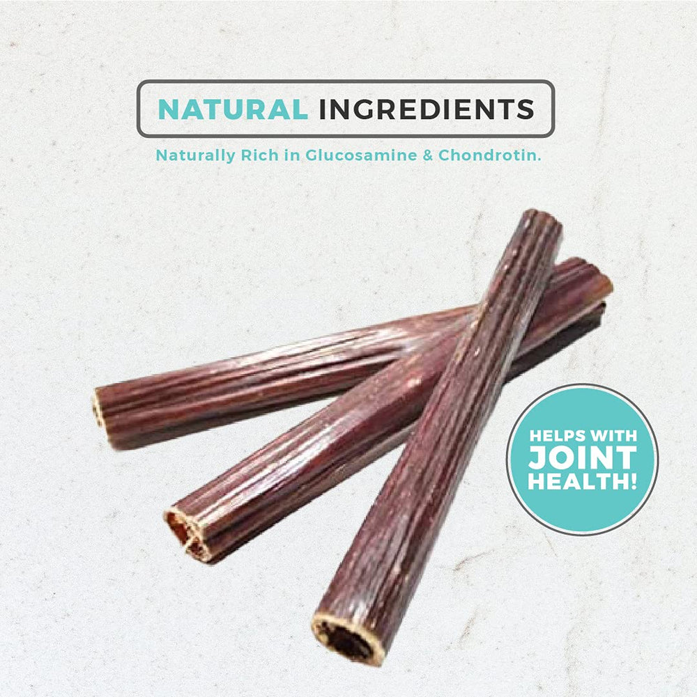 Dog Nip baton taffy 6 pouces chiots — usage sûr.