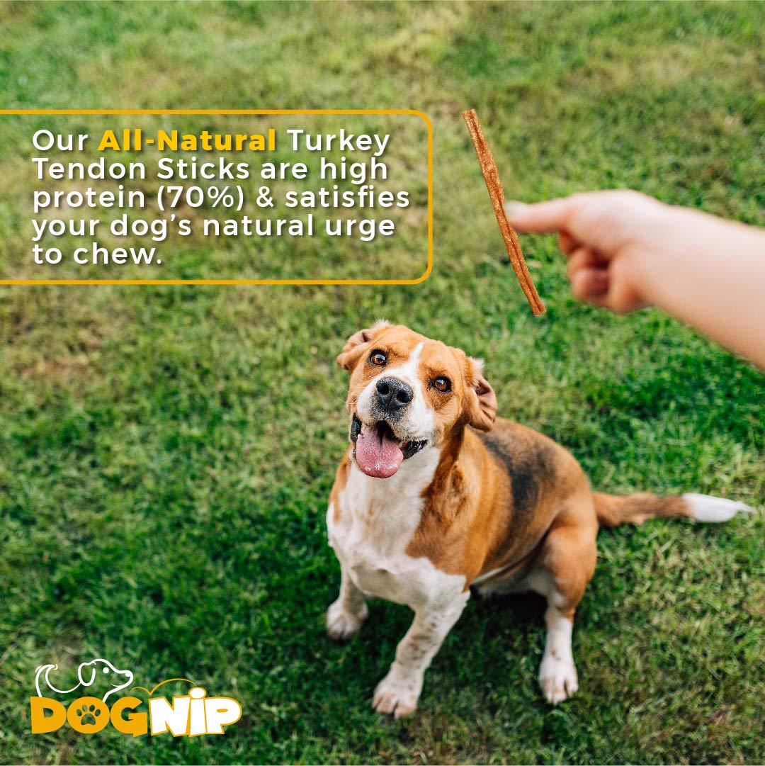 Poids 170 g, 22–25 morceaux Dog Nip, option économique pour les familles actives.
