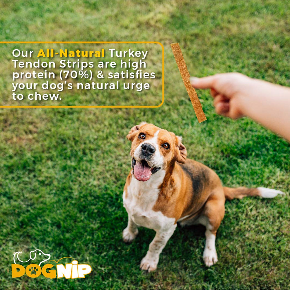 Dog Nip Gobble tendon dinde: 45–50 pièces, portions pratiques pour l'entraînement.
