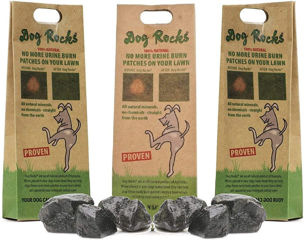Dog Rocks 200 g dans bol d'eau, peut favoriser une pelouse plus verte