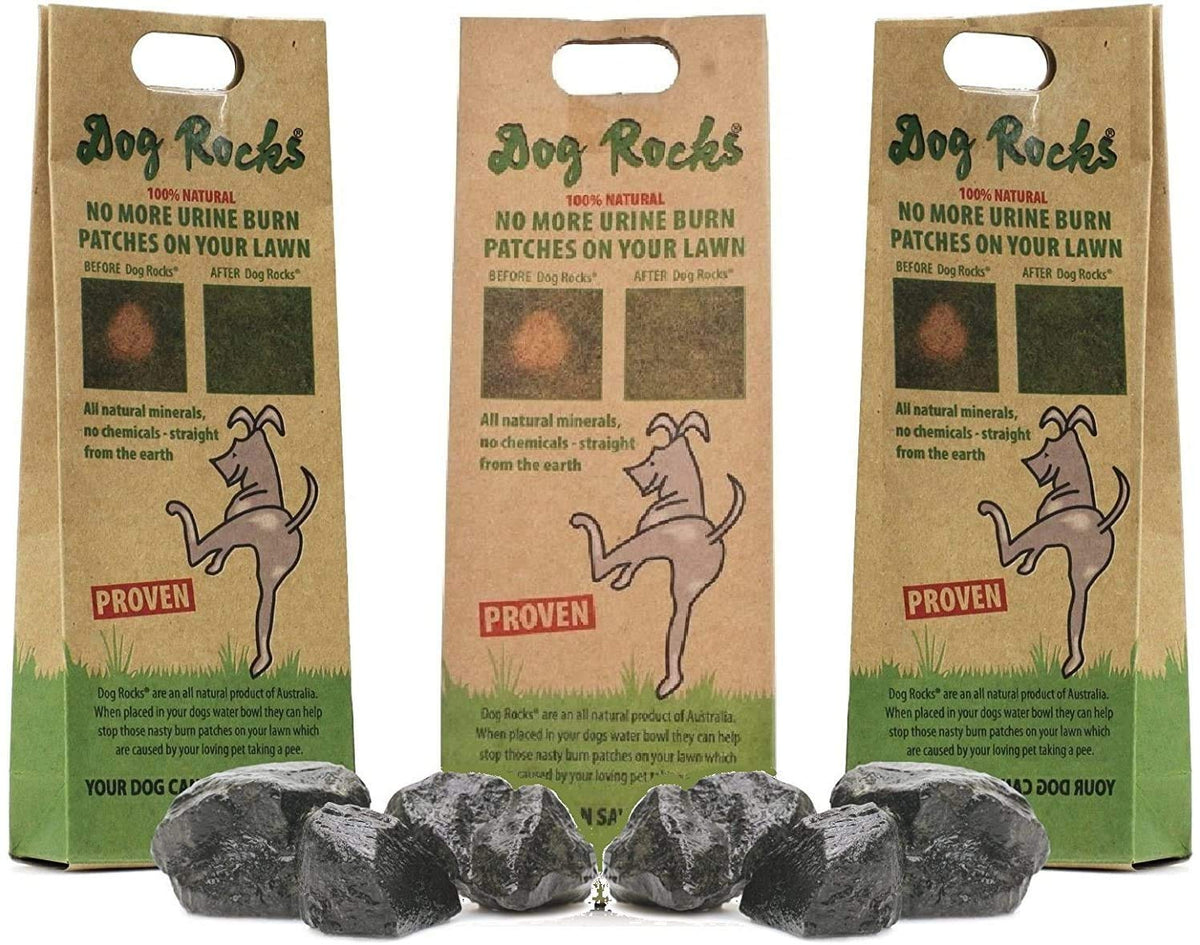 Dog Rocks 200 g dans bol d'eau, peut favoriser une pelouse plus verte