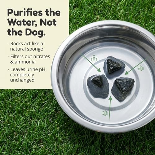 Gazon plus vert après 3 à 5 semaines d’utilisation régulière avec Dog Rocks.