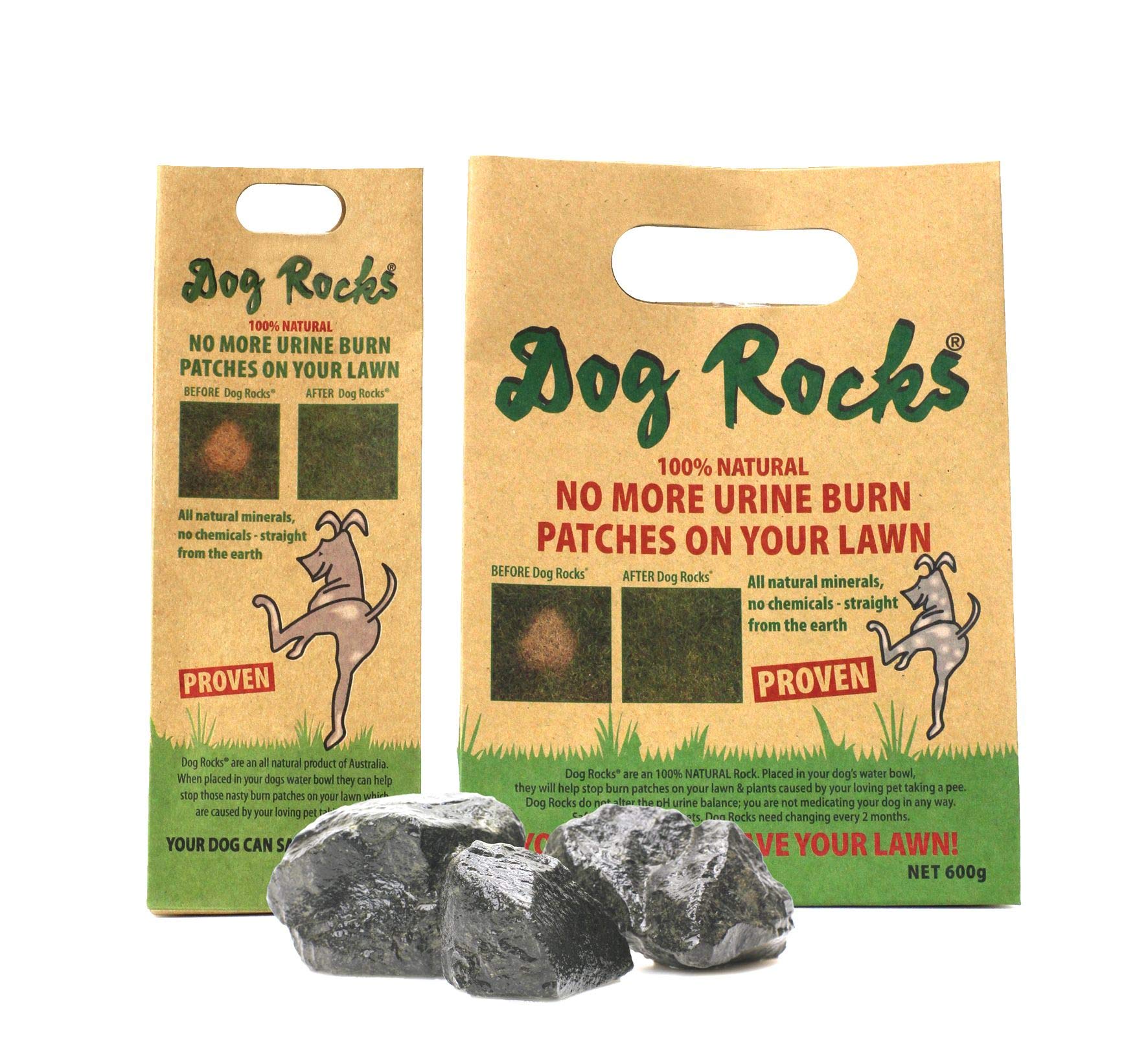 Dog Rocks lot de 3, pratique pour plusieurs bols ou jardins