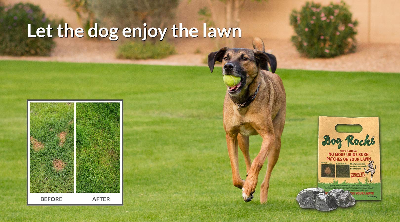 Dog Rocks usage extérieur pelouse pour préserver la verdure en été