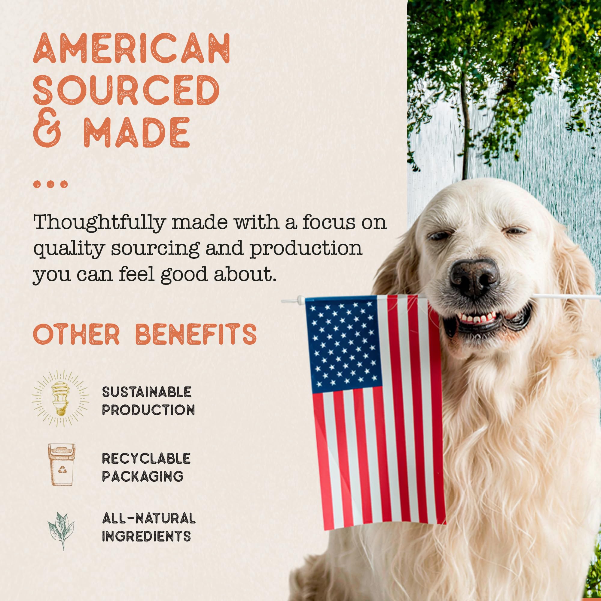 Dog Treat Naturals bâtonnet saumon mangue, fabrication américaine et emballage recyclable.