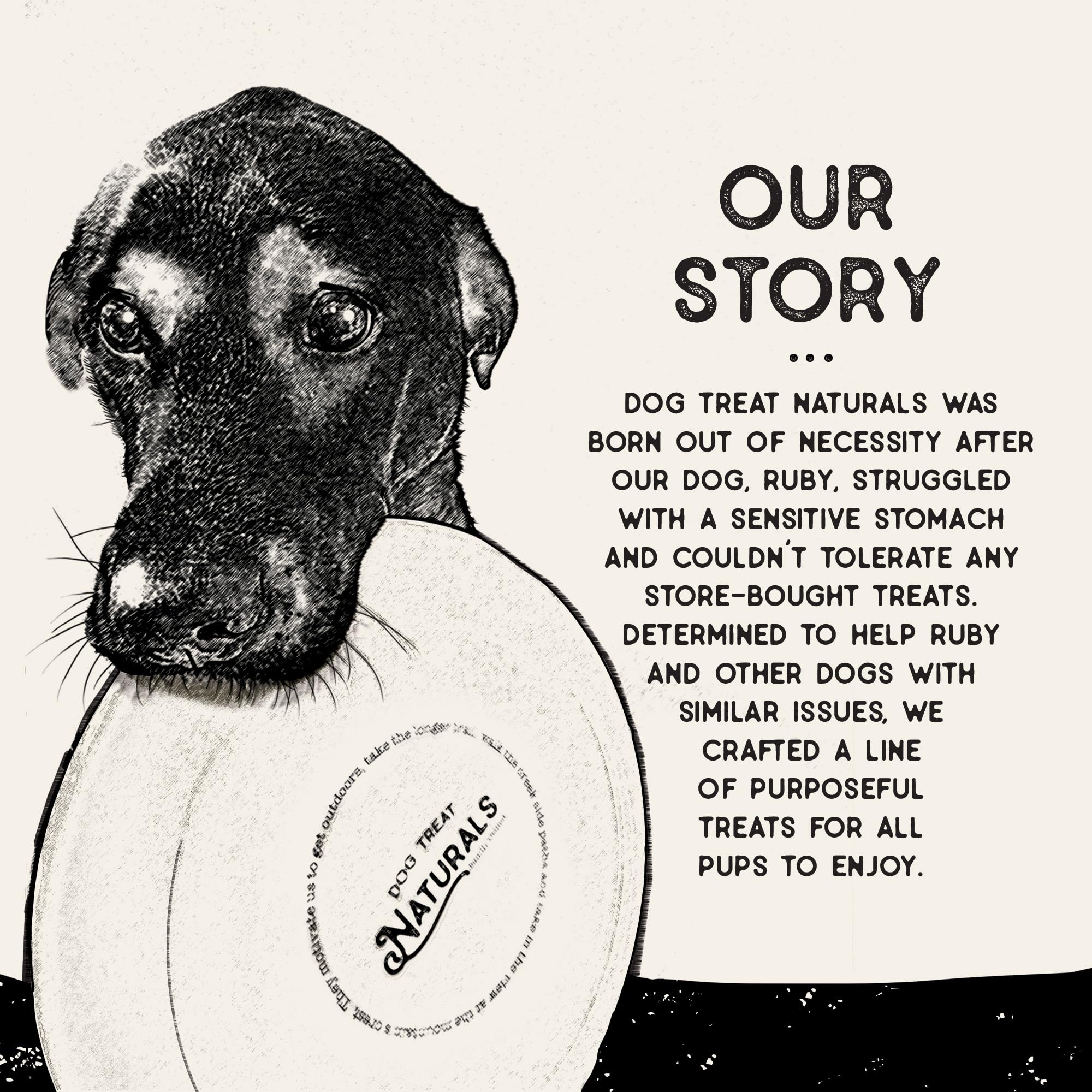 Dog Treat Naturals, fabrication américaine fiable et contrôles qualité stricts.