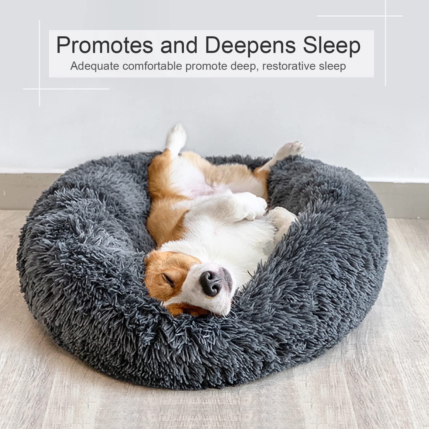 DogBaby tailles variées permettent d'accueillir petits et grands animaux.