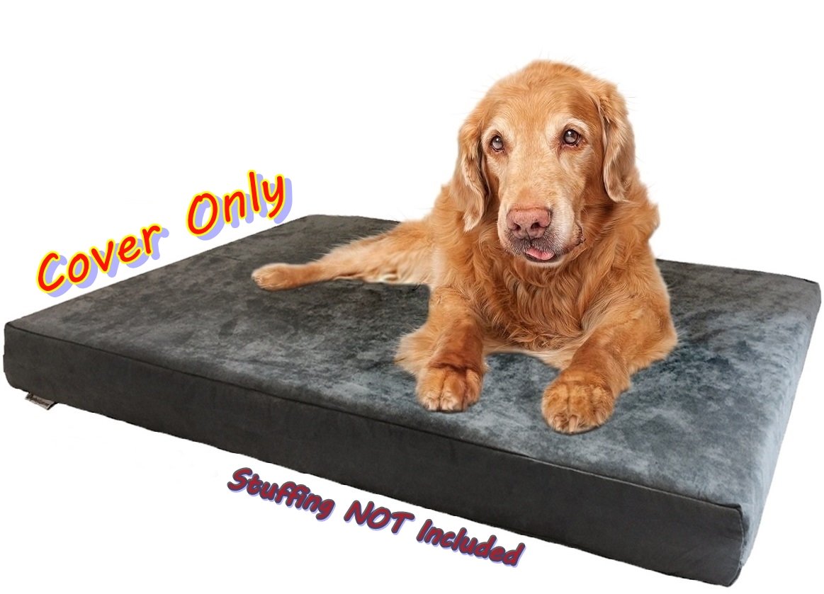 Lavable en machine Dogbed4less, couverture pratique et reutilisable.