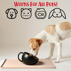 DogBuddy bordures-hautes-tapis, déversements mieux contenus.
