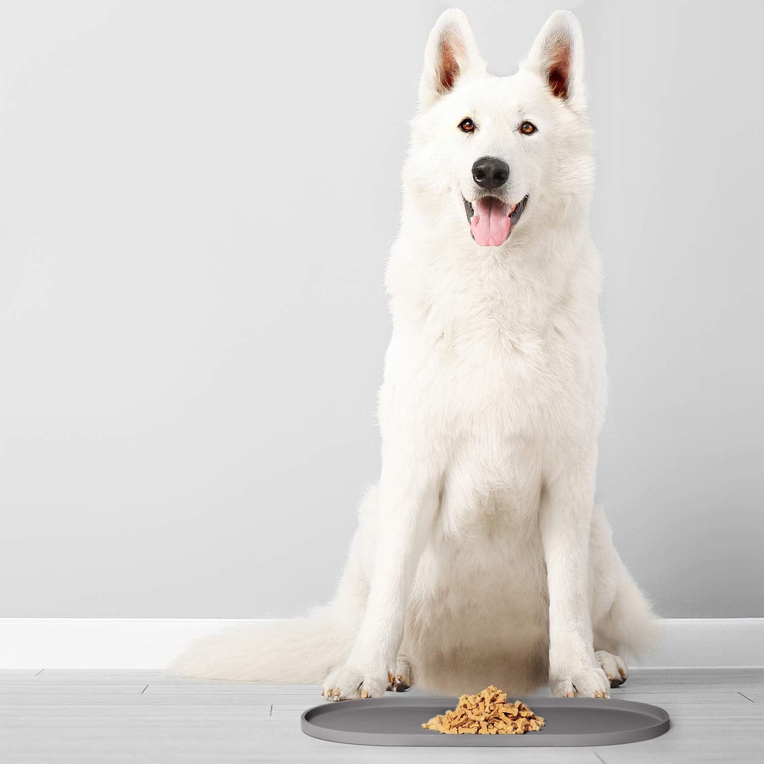 DogBuddy Tapis roulable, facile à transporter lors de déplacements et visites.