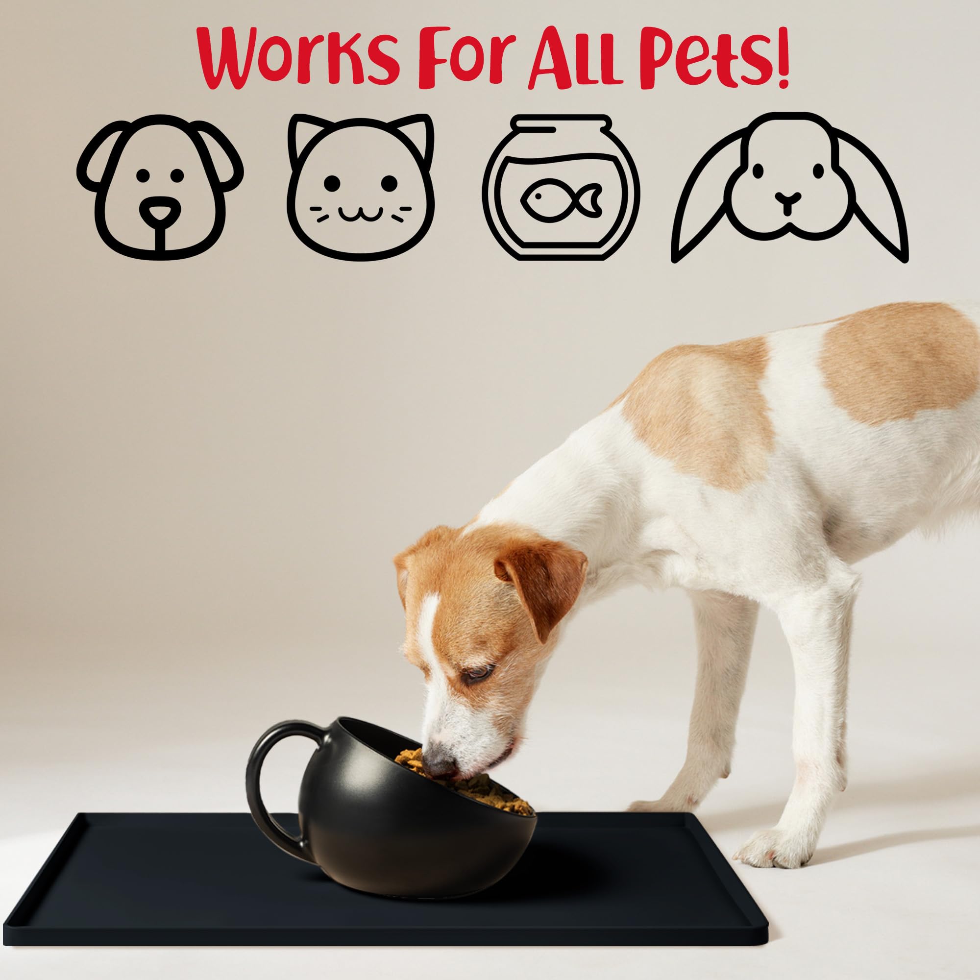 DogBuddy tapis sous bols et fontaine, repas propres et sans débordements.