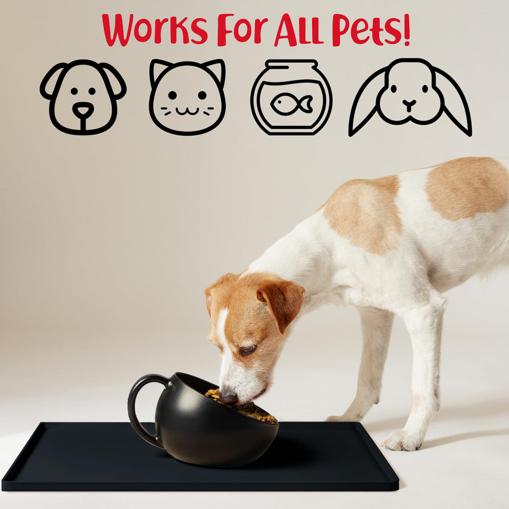 DogBuddy tapis sous bols et fontaine, repas propres et sans débordements.