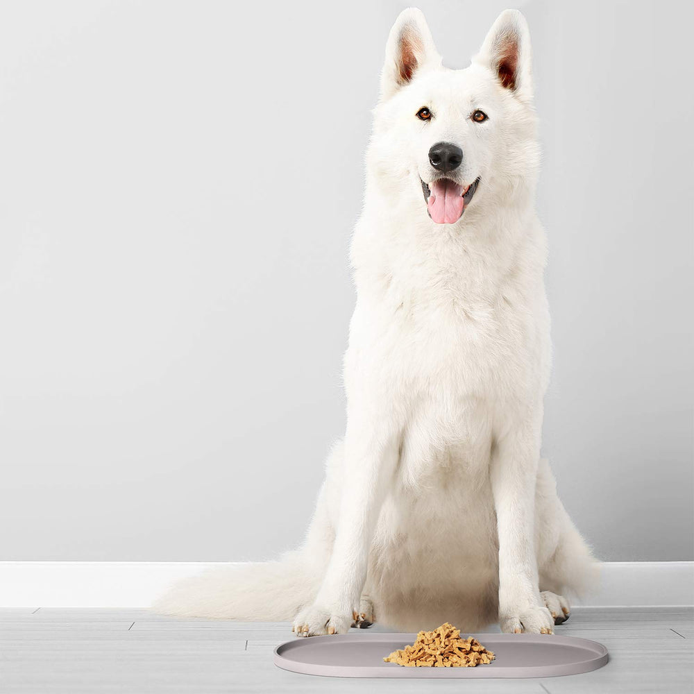 DogBuddy tapis-coloris-dove couleur douce et discrète