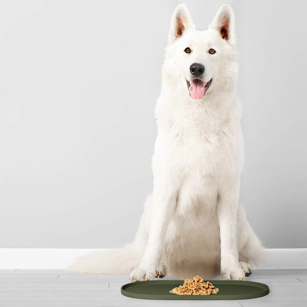 DogBuddy Tapis Lavable au Lave-Vaisselle: nettoyage simple et hygiène.