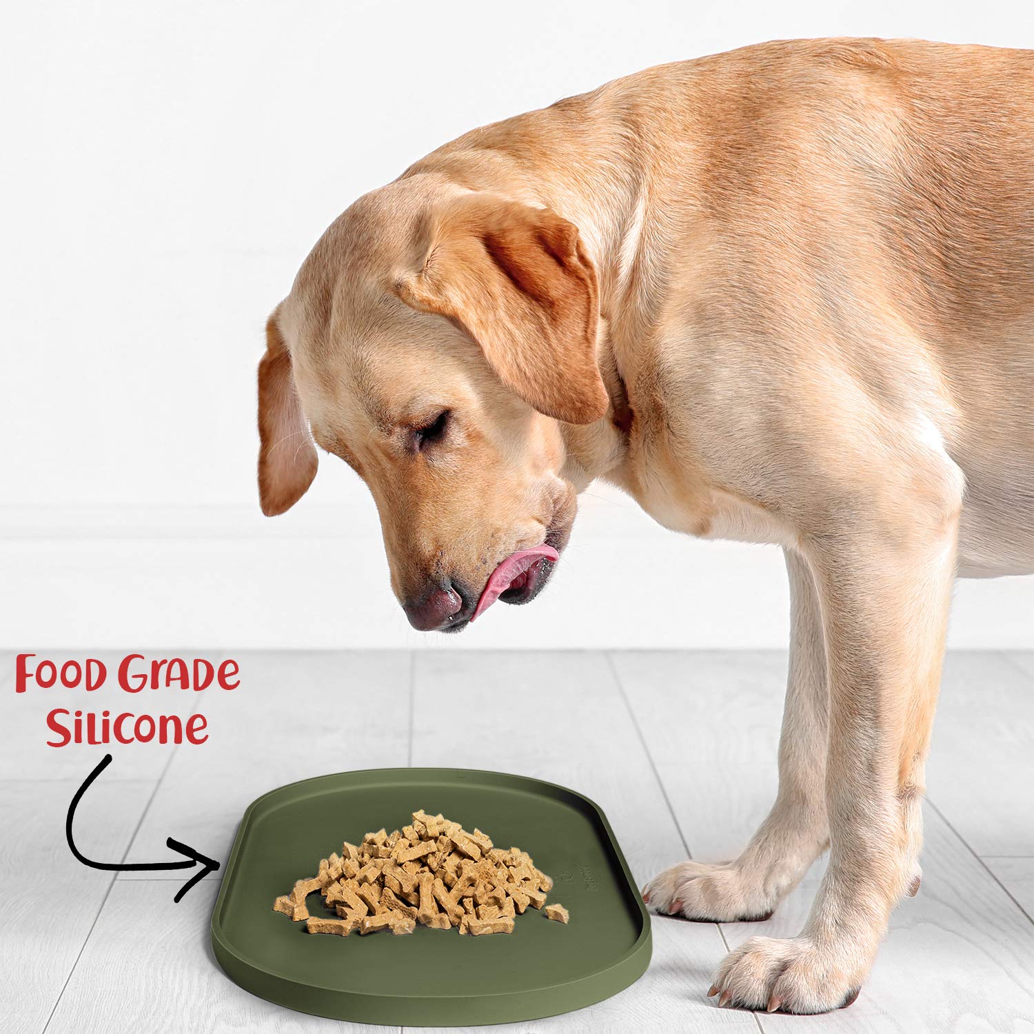 DogBuddy Tapis Petit Format: idéal pour petits et moyens chiens.