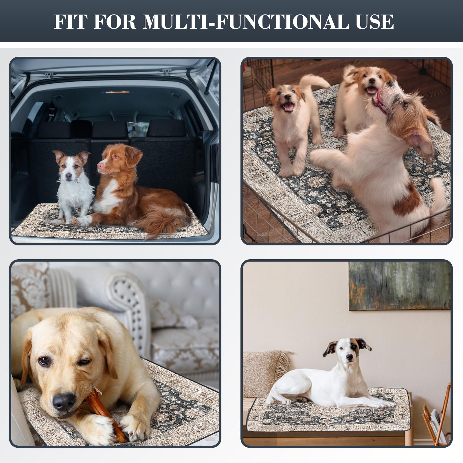 Dogcator imperméable-interlayer TPU: prévient les fuites et protège les surfaces.
