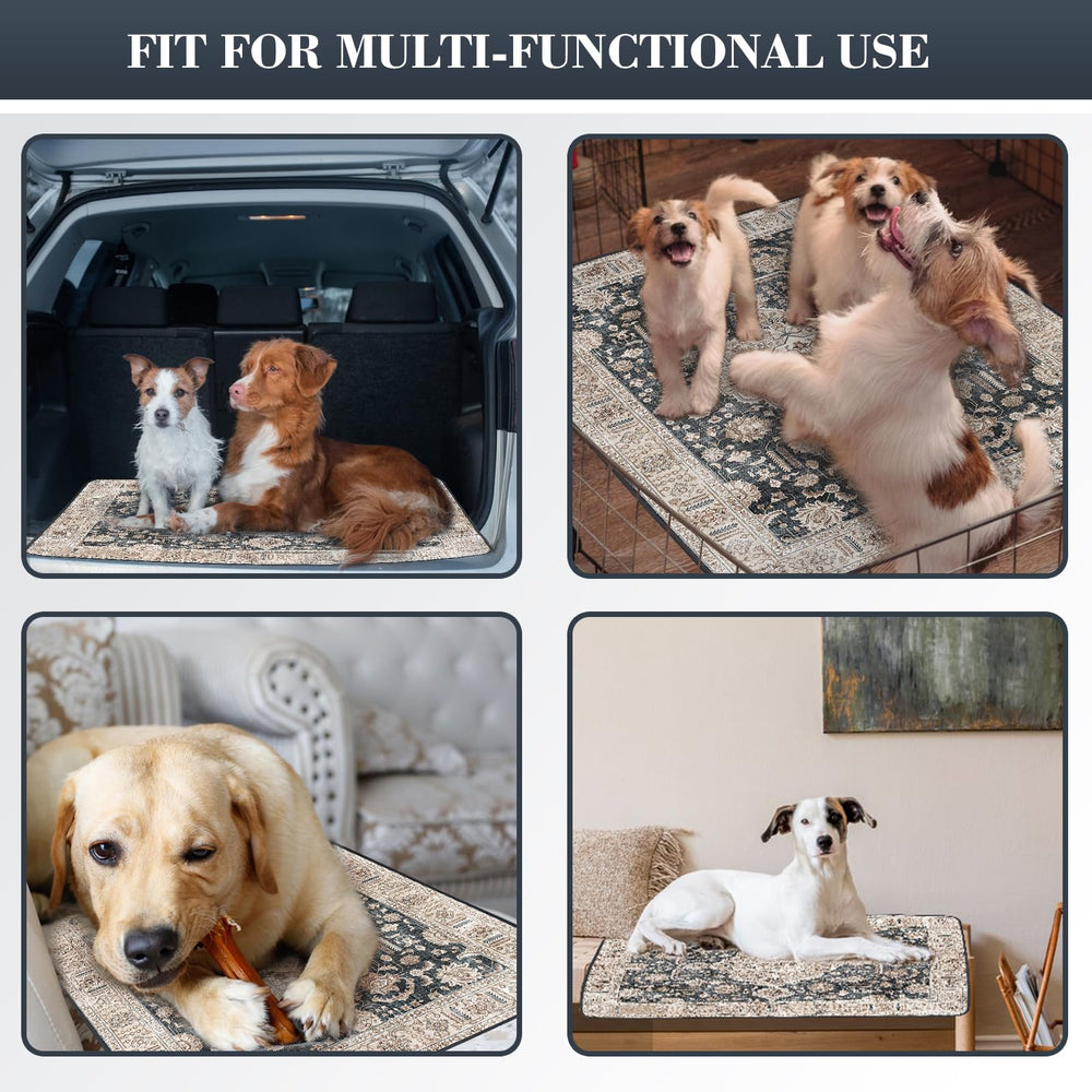 Dogcator imperméable-interlayer TPU: prévient les fuites et protège les surfaces.