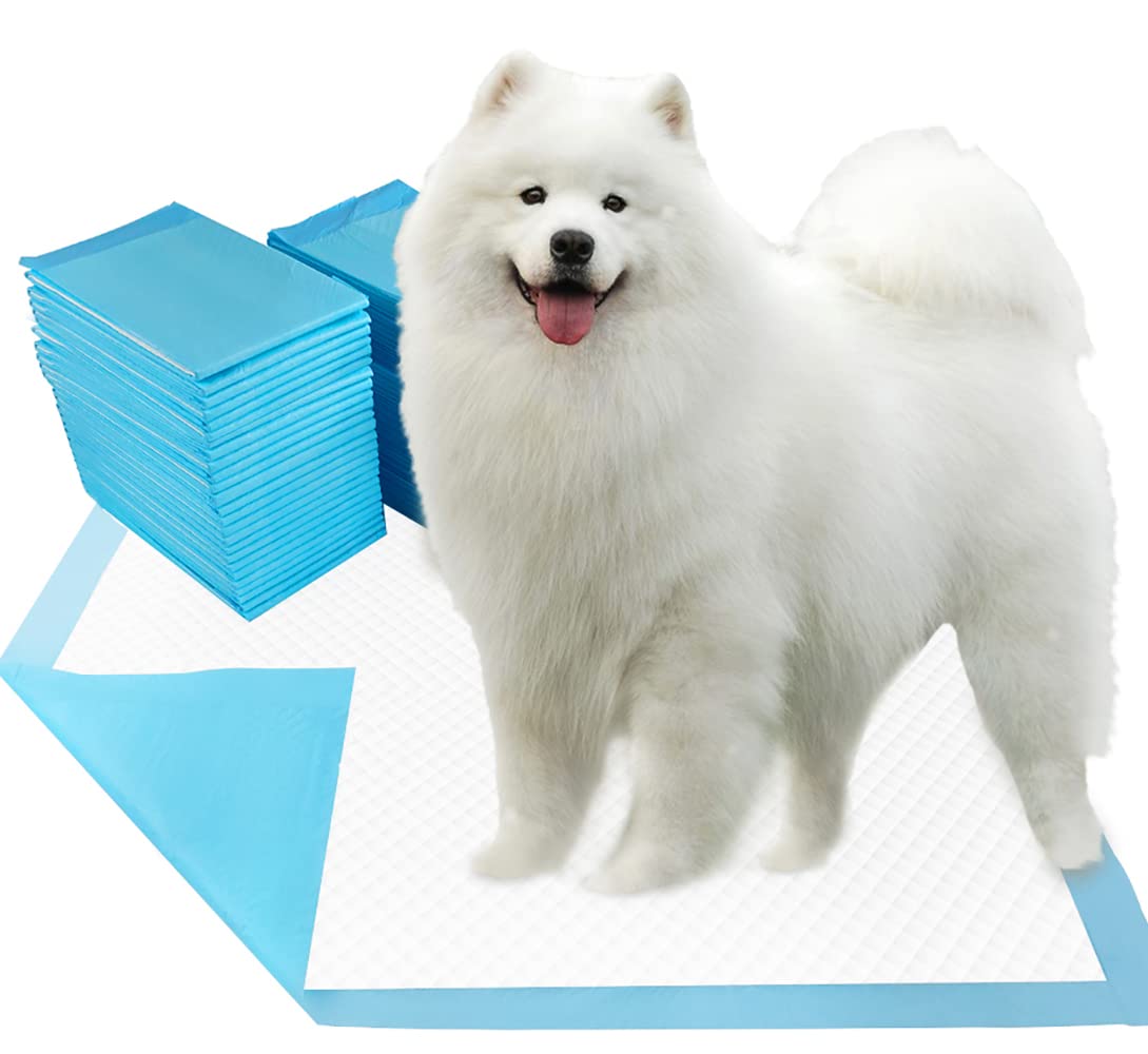Dogcator Tapis chiots XXL 30x36 bleu: absorption élevée et nettoyage facilité.