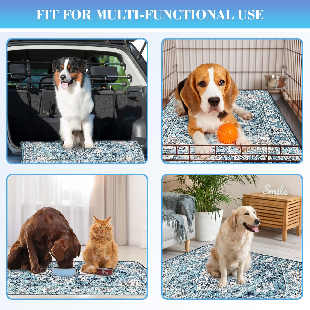 Dogcator tapis lavable en machine, entretien simple.