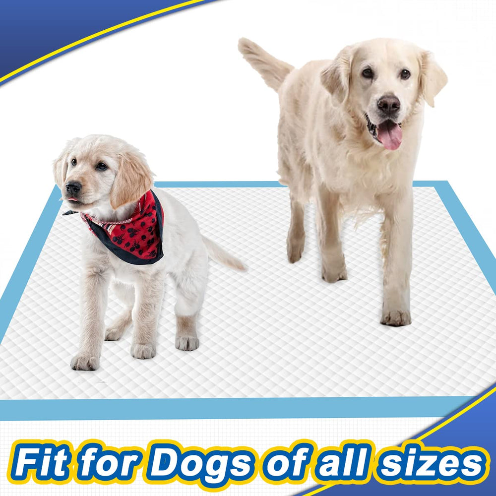 Dogcator Tapis propreté bleu XXL: matériau premium et longue durée.
