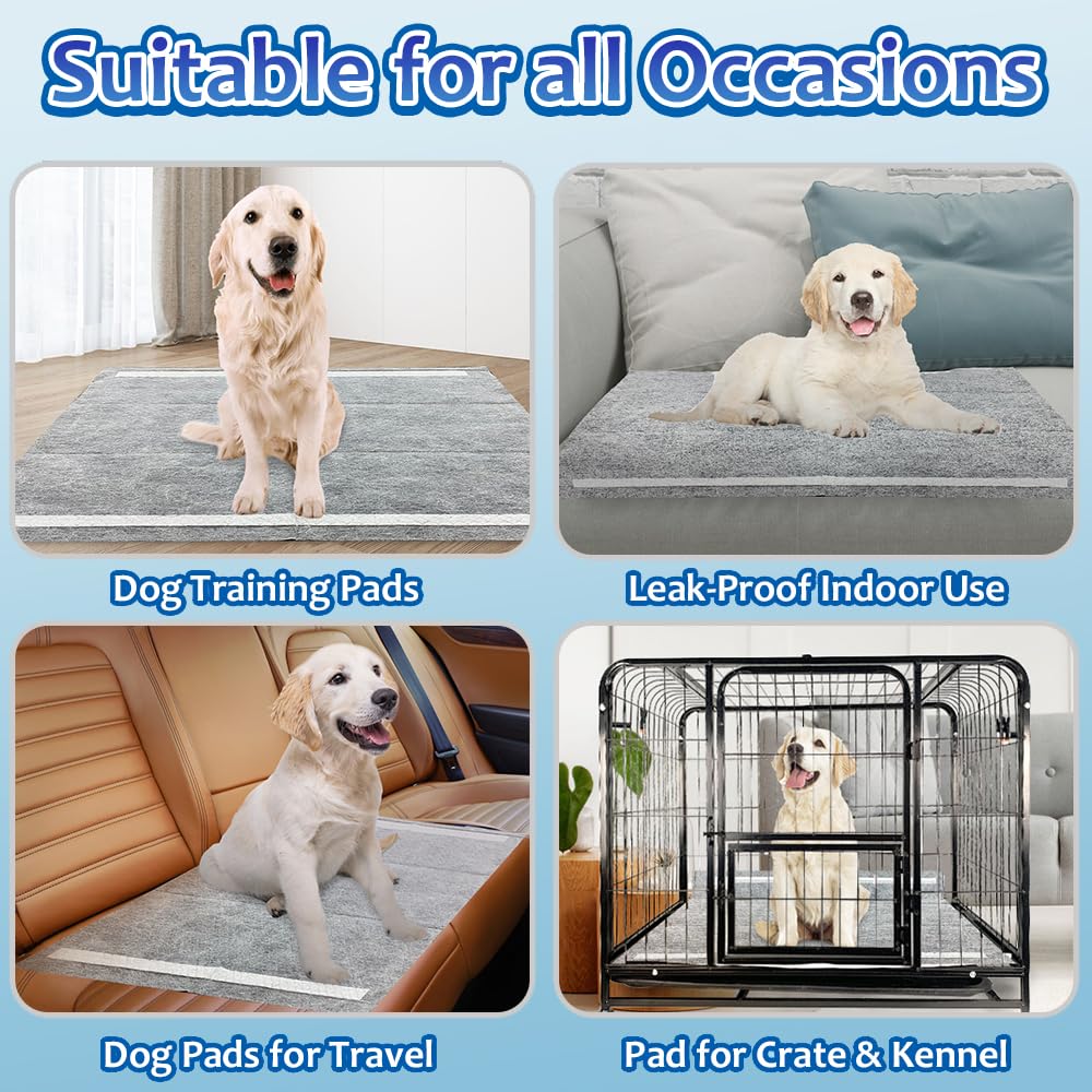 Dogcator usage intérieur/extérieur, idéal selon les besoins domestiques.