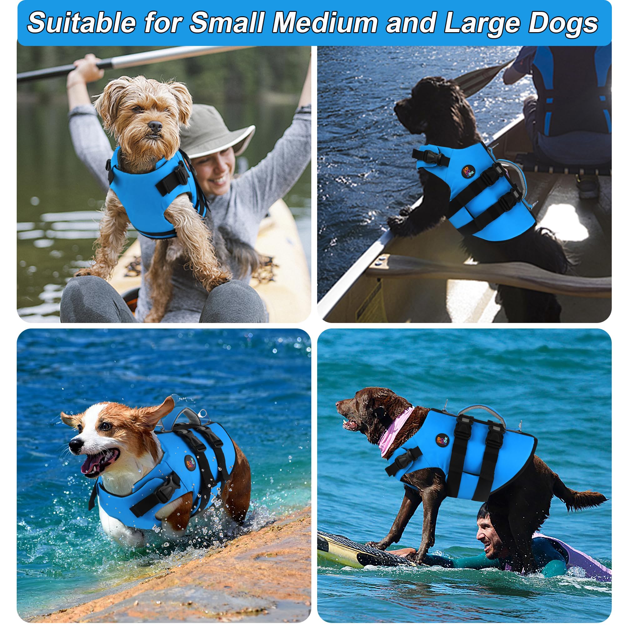 Dogcheer anneaux en D, securite et controle lors des activités nautiques.
