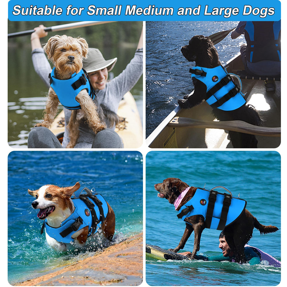 Dogcheer anneaux en D, securite et controle lors des activités nautiques.