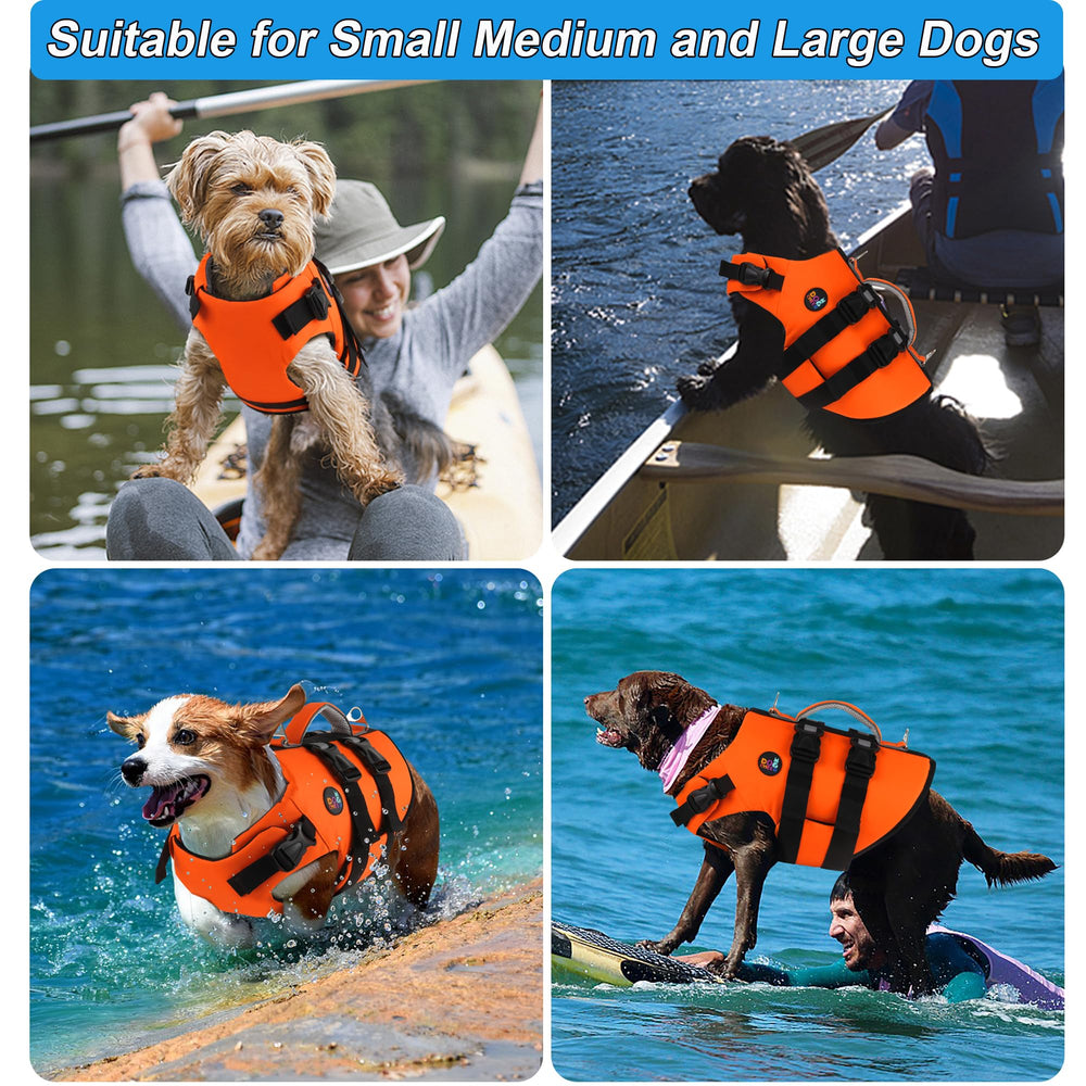 Dogcheer d-rings-gilet-chien pour connexion et activités nautiques