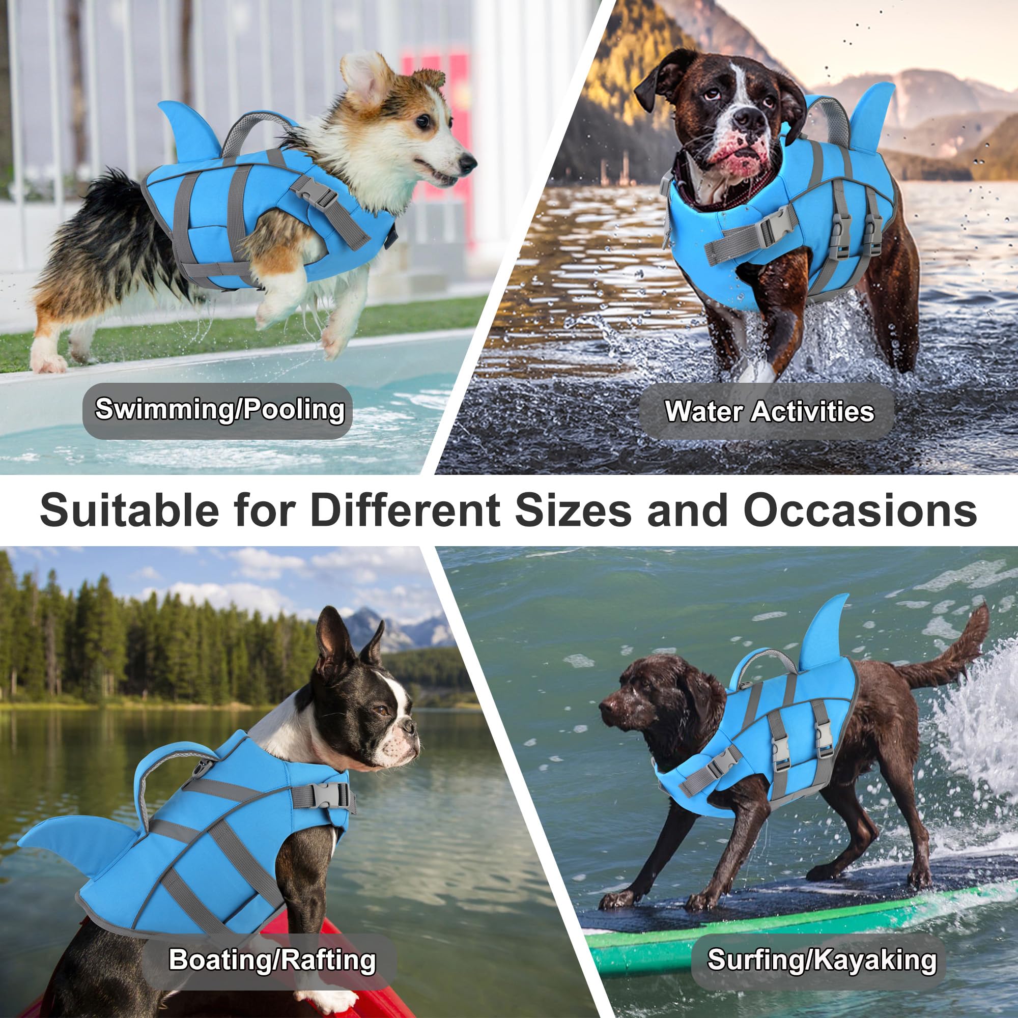 Dogcheer couleur-bleu-chien : look moderne et sécurité pendant les activités aquatiques.