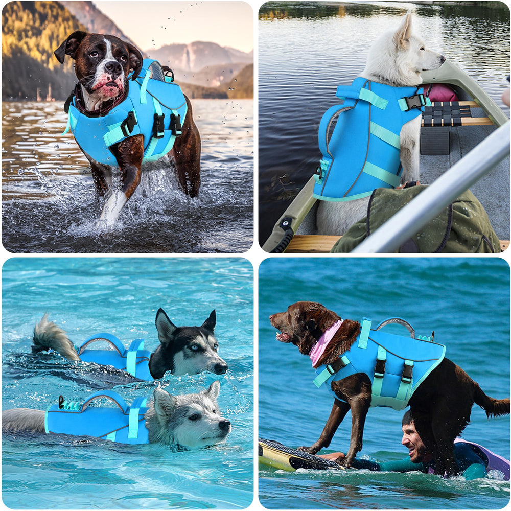 Dogcheer design léger favorisant une posture naturelle lors de la nage