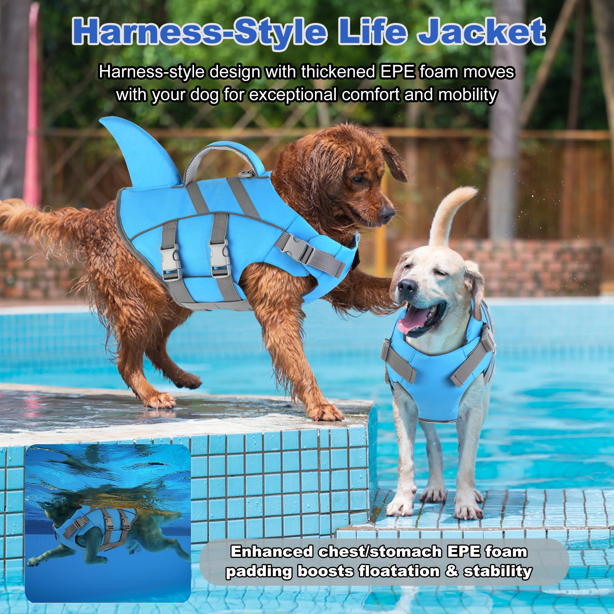 Dogcheer fin-requin-chien-bleu : design distinctif pour plus de visibilité.
