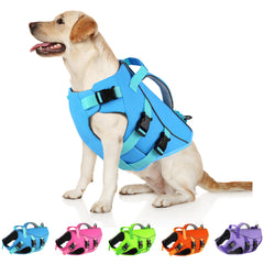 Dogcheer gilet sauvetage bleu, flotte facilement pour chiens débutants